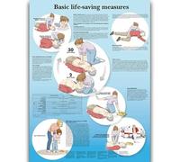 Yocheng Póster de anatomía humana,cuerpo,órganos,huesos,imagen,lienzo,pintura,impresión,mural decorativo,arte de pared para habitación del hogar 40x50cm Sin Marco