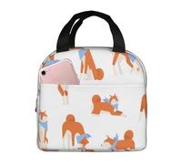 YOFIEN Adorable lonchera aislante gruesa Akita Inu, reutilizable y a prueba de fugas