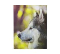 YOFIEN Alaskan Malamute Bokeh Mascotas Perros Lindos Arte de Pared para Dormitorio Pósteres Impresiones Lindos Decoración Arte Impresiones 30x40cm