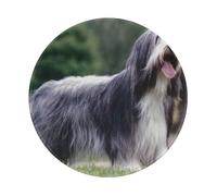 YOFIEN Alfombrilla de ratón Redonda de 20 y 20 cm con Borde Cosido, diseño de Collie Barbudo, Color Gris Rizado