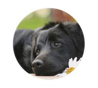 YOFIEN Alfombrilla de ratón Redonda de 20 y 20 cm con Borde Cosido, diseño de Perro Labrador Negro, Color manzanilla y Retriever Negro