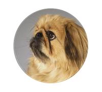 YOFIEN Alfombrilla de ratón Redonda de 20 y 20 cm con Borde Cosido, diseño de Perro pequinés Esponjoso.