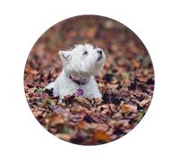 YOFIEN Alfombrilla de ratón Redonda de 20 y 20 cm con Borde Cosido, diseño de West Highland White Terrier, con diseño de Westie Bokeh