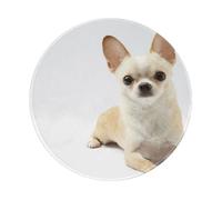 YOFIEN Alfombrilla de ratón Redonda de 8 y 8 Pulgadas con Borde Cosido, diseño de Chihuahua, Animales Salvajes aislados, mamífero de Raza Pura