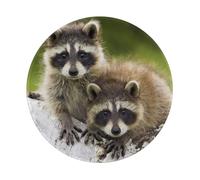 YOFIEN Alfombrilla de ratón Redonda de 8 y 8 Pulgadas con Borde Cosido y Estampado de Mapache