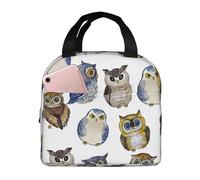 YOFIEN Bolsa para almuerzo con aislamiento grueso y diseño de búhos lindos de acuarela, reutilizable y a prueba de fugas