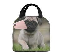 YOFIEN Bolsa para almuerzo con aislamiento grueso y reutilizable a prueba de fugas con diseño de cachorros Pug Bokeh y césped.