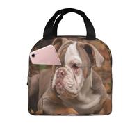 YOFIEN Bolsa para almuerzo con aislamiento grueso y reutilizable a prueba de fugas con diseño de cachorro de bulldog americano
