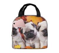 YOFIEN Bolsa para almuerzo con aislamiento grueso y reutilizable a prueba de fugas con diseño de cachorros Pug
