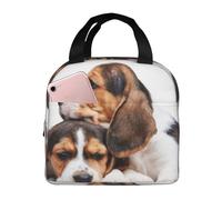 YOFIEN Bolsa para almuerzo con aislamiento grueso y reutilizable, a prueba de fugas, con diseño de cachorros de beagle
