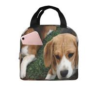 YOFIEN Bolsa para almuerzo con aislamiento grueso y reutilizable a prueba de fugas para cachorros de Beagle