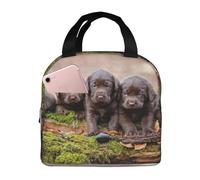 YOFIEN Bolsa para almuerzo con aislamiento grueso y reutilizable a prueba de fugas para la familia de cachorros de Labrador, color marrón