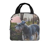 YOFIEN Bolsa para almuerzo con aislamiento grueso y reutilizable a prueba de fugas para perros de césped Schnauzer miniatura, color gris