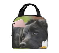 YOFIEN Bolsa para almuerzo con aislamiento grueso y reutilizable, a prueba de fugas, para perros Labrador negro, manzanilla y black retriever.