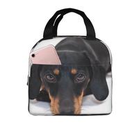 YOFIEN Bolsa para almuerzo con aislamiento grueso y reutilizable para perros salchicha pequeños, a prueba de fugas