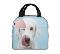 YOFIEN Bolsa para almuerzo reutilizable a prueba de fugas con aislamiento grueso de Labrador divertido
