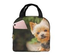 YOFIEN Bolsa para el almuerzo con aislamiento grueso y diseño de Yorkshire Terrier Bokeh, reutilizable y a prueba de fugas.
