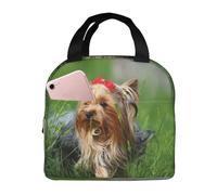 YOFIEN Bolsa para el almuerzo con aislamiento grueso y lazo rojo para perros lindos de Yorkshire Terrier, reutilizable y a prueba de fugas