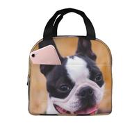 YOFIEN Bolsa para el almuerzo con aislamiento grueso y reutilizable, a prueba de fugas, con diseño de Boston Terrier Bokeh