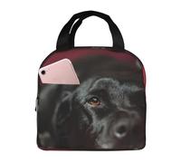 YOFIEN Bolsa para el almuerzo con aislamiento grueso y reutilizable, a prueba de fugas, para labrador retriever negro, perros negros, bokeh
