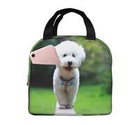 YOFIEN Bolsa para el almuerzo con aislamiento grueso y reutilizable, a prueba de fugas, para perros de parque, color blanco, Bichon Frise Bokeh
