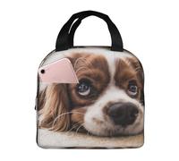 YOFIEN Bolsa para el almuerzo con aislamiento grueso y reutilizable, a prueba de fugas, para perros lindos Cavalier King Charles Spaniel