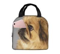 YOFIEN Bolsa para el almuerzo con aislamiento grueso y reutilizable a prueba de fugas para perros pequineses esponjosos y lindos.