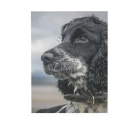 YOFIEN Cocker Spaniel inglés con orejas rizadas grandes, arte de pared para dormitorio, pósteres, láminas decorativas, láminas de arte de 30x40cm