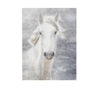 YOFIEN Cuadro decorativo de mesa con diseño de caballo de la Camarga para dormitorio. Pósters y láminas decorativas de 30x40 cm.