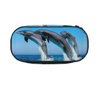 YOFIEN Estuche pequeño con diseño de Delfines Saltando en Invierno, Estuche de Gran Capacidad para lápices, Organizador de papelería de Oficina.