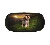 YOFIEN Estuche pequeño para lápices de Gran Capacidad, Organizador de papelería de Oficina, diseño de Schnauzer, Atardecer, Perros, Mascotas, montañas, Schnauzer