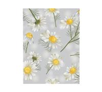 YOFIEN Flores de manzanilla, láminas decorativas para pared de dormitorio, pósteres, láminas decorativas bonitas, 30x40cm