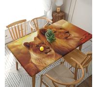 YOFIEN Mantel Rectangular Impermeable de 1,5 m con diseño de león Africano y Leona, Protector a Prueba de derrames y Borde elástico.