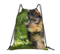 YOFIEN Mochila con cordón resistente al agua, ideal para deportes, gimnasio y para mujeres y hombres, con diseño de Yorkshire Terrier, color verde hierba y perros adorables.