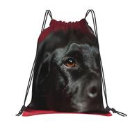YOFIEN Mochila con cordón resistente al agua, ideal para deportes, gimnasio y uso diario, con diseño de Labrador Retriever negro, perros negros y bokeh.