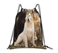 YOFIEN Mochila con cordón resistente al agua para hombre y mujer, ideal para deportes y gimnasio, con diseño de labrador retriever, color negro, dorado, blanco y marrón.