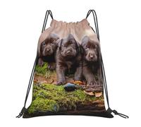 YOFIEN Mochila con cordón resistente al agua para mujer y hombre, ideal para deportes y gimnasio, con diseño de cachorros de Labrador, color marrón y familia de cachorros pequeños.