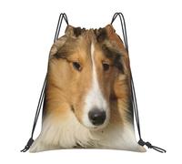 YOFIEN Mochila con cordón resistente al agua para perros de raza Sheltie, ideal para mujeres y hombres, ideal para deportes y gimnasio.