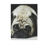 YOFIEN Pug Perros Tristes Perros Pug Tristes Mascotas PugTable Arte de Pared para Dormitorio Pósteres Impresiones Decoración Linda Impresiones Artísticas 30x40cm