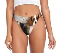 YOFIEN Tanga sin Costuras para Mujer, diseño de Cachorros pequeños de Cavalier King Charles Spaniel, Bragas Invisibles para Mujer, Bragas Deportivas