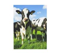 YOFIEN Vacas comiendo en un pasto de verano. Lámina decorativa para pared de dormitorio. Pósters. Impresiones de arte. Bonita decoración. 30x40cm.