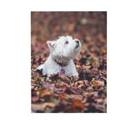 YOFIEN Westie Bokeh West Highland White Terrier Perros Arte de mesa para pared para dormitorio Pósters Láminas Decoración linda Láminas de arte 30x40cm