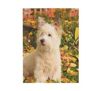 YOFIEN Westie Otoño West Highland White Terrier Perros Decoración de mesa y pared para dormitorio Pósters Láminas Decoración Bonita Láminas Artísticas 30x40cm