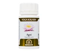 Yoga Kalash Agni Equisalud 60 Cápsulas | Con Melena de León, Triphala, Lentisco y L-Glutamina | Bienestar Digestivo y Mucosas | Fórmula Ayurveda Premium