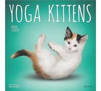 YOGA KITTENS 2025 16 MONTH CALENDAR