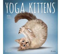 Yoga Kittens - Kätzchen Yoga 2026 - 16-Monatskalender: Original BrownTrout-Kalender [Mehrsprachig] [Kalender]