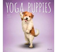 Yoga Puppies - Welpen Yoga 2027 - 16-Monatskalender: Original BrownTrout-Kalender [Mehrsprachig] [Kalender] (Yoga Puppies OFFICIAL | 2027 12 x 24 Inch ... | Plato | Animals Humor Puppy Dogs Canine)