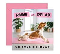 Yogi - Tarjeta de cumpleaños de perro con texto en inglés "Paws and Relax" - Tarjeta de felicitación para ella, mujer, madre, amiga, mejor amiga, mejor amiga, colegas, hermana, esposa, novia, amantes