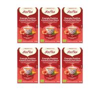 Yogi Tea, Energía Positiva Arándanos Rojos Hibisco Bio - Infusión Ayurvédica - Mezcla de Mate, Hibisco, Arándanos y Té Negro - Pack de 6x17 bolsitas (102 bolsitas en total)