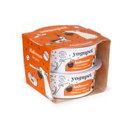 Yogur Natural Halloween para Perros y Gatos sin Lactosa y con Inulina Prebiótica + Calabaza y Cúrcuma Ecológica - Digestivo Natural - Snack Funcional y Alimento Complementario 2x110 g | Woolf